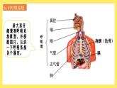 2.1《感受我們的呼吸》課件+教案（教科版科學(xué)四年級(jí)上冊(cè)）