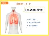 2.1《感受我們的呼吸》課件+教案（教科版科學(xué)四年級(jí)上冊(cè)）