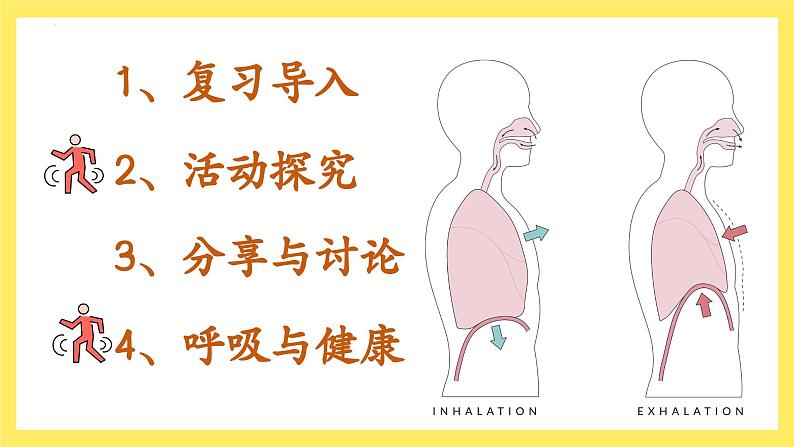 第2.2 课 呼吸与健康生活（教学课件）四年级科学上册（教科版）第2页