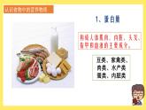 2.5《食物中的營養(yǎng)》課件+教案（教科版科學四年級上冊）