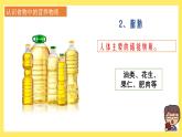 2.5《食物中的營養(yǎng)》課件+教案（教科版科學四年級上冊）