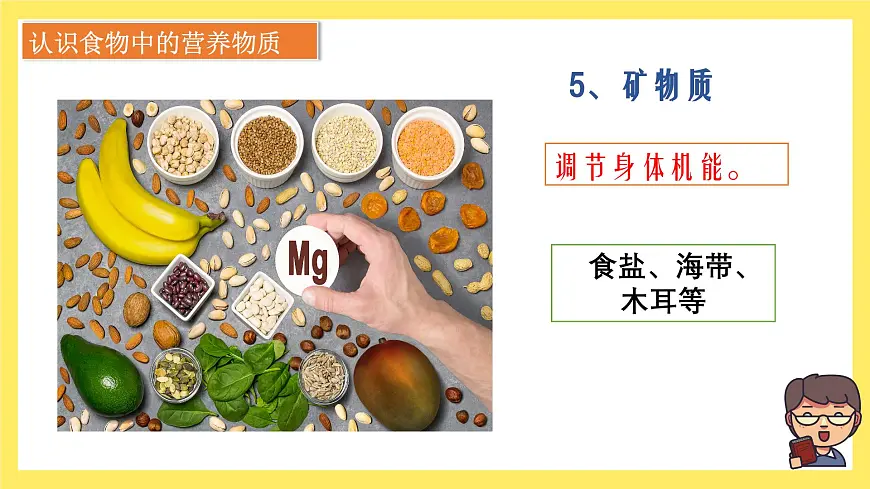 第2.5课 食物中的营养（教学课件）四年级科学上册（教科版）第8页