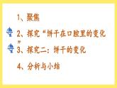 2.7《食物在口腔里的變化》課件+教案（教科版科學(xué)四年級(jí)上冊(cè)）