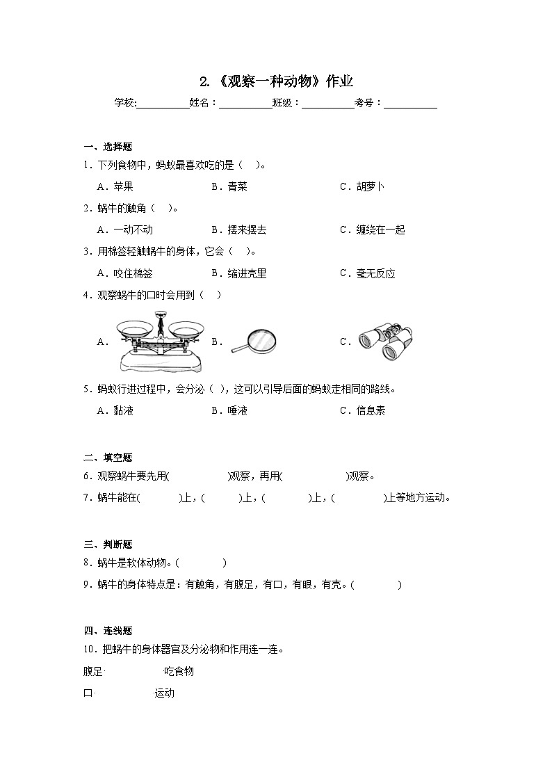 2.《观察一种动物》作业第1页