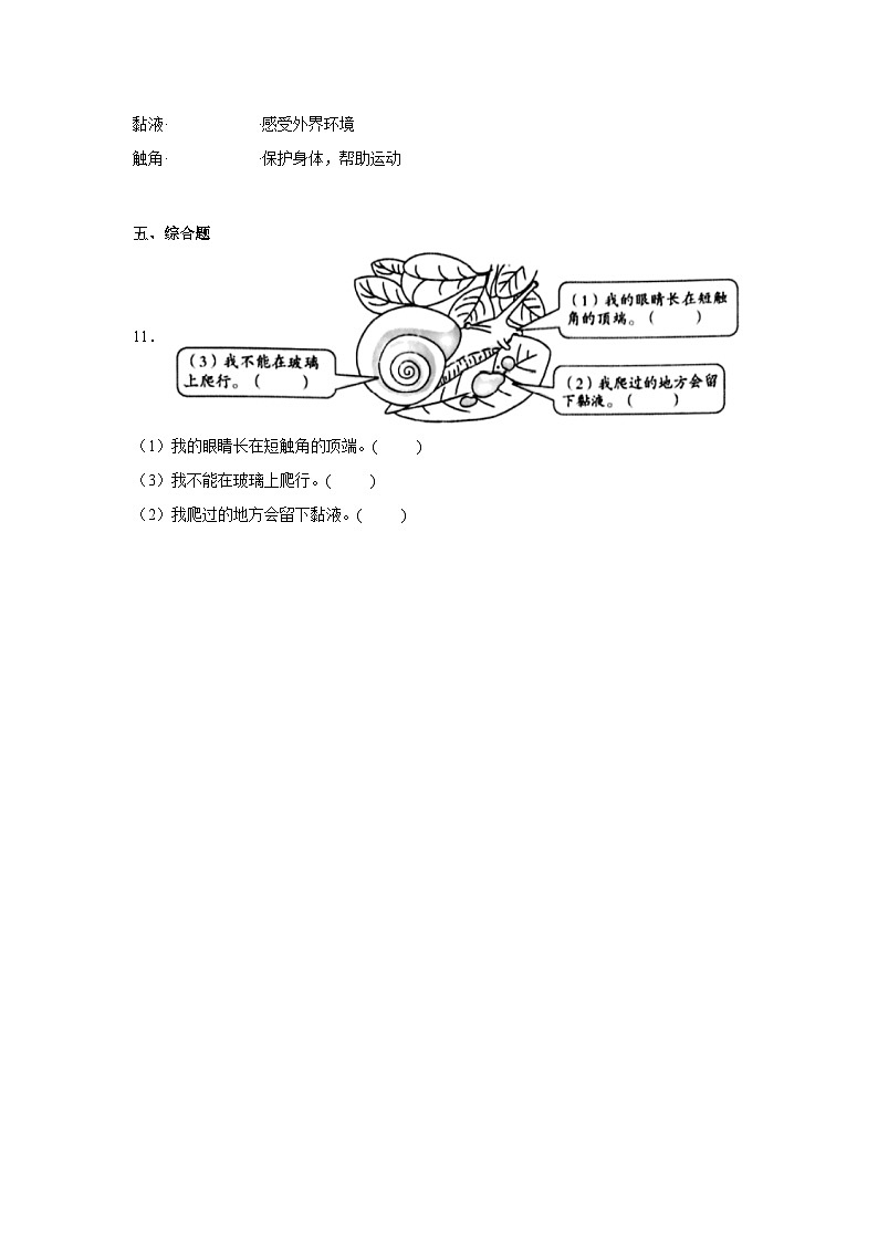 2.《观察一种动物》作业第2页