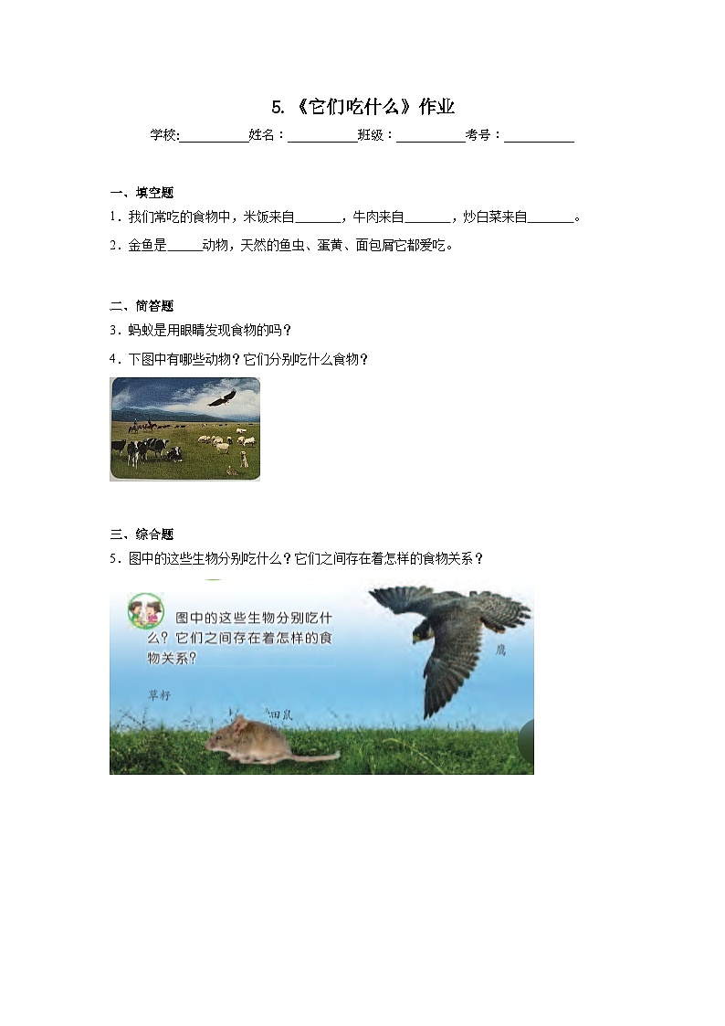 5.《它们吃什么》作业第1页