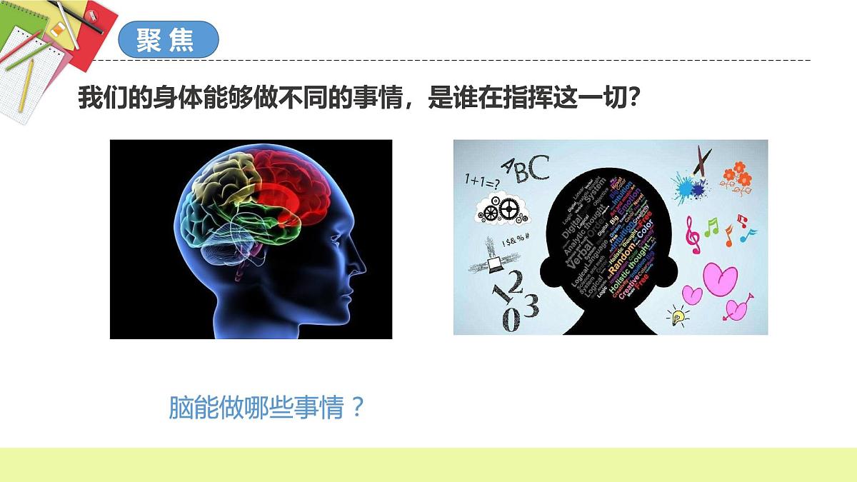 第4.4课 身体的“总指挥”（教学课件）五年级科学上册系列（教科版）第3页