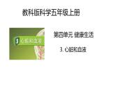 4.3《心臟和血液》課件+教案（教科版科學五年級上冊）