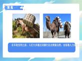 3.4《改變運(yùn)輸?shù)能囕啞氛n件+教案含反思（教科版科學(xué)六年級(jí)上冊(cè)）