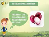 1.5《觀察更多的生物細(xì)胞》課件+教案含反思（教科版科學(xué)六年級上冊）