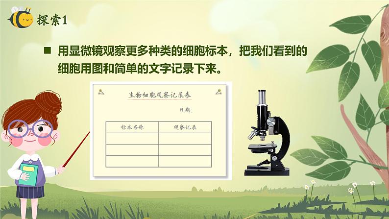 第1.5课 观察更多的生物细胞（教学课件）六年级科学上册系列（教科版）第5页