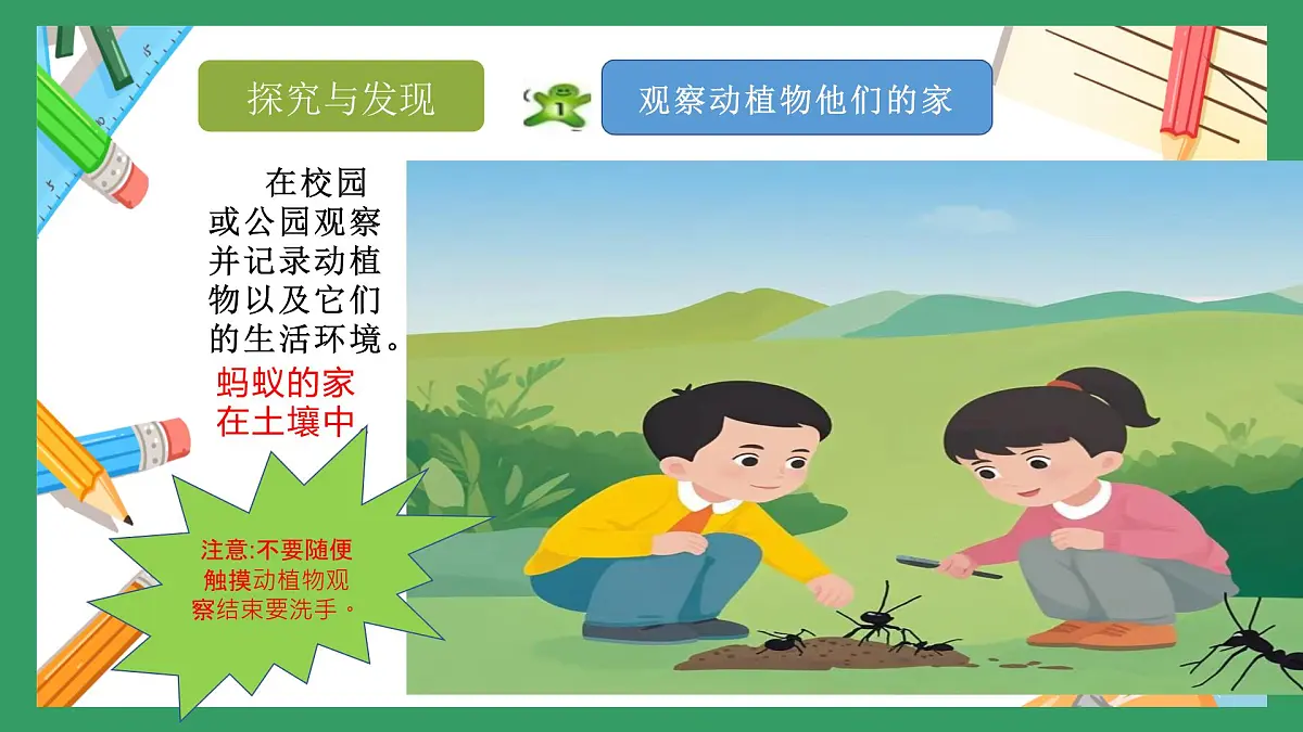 冀人版小学科学一年级下册 《7.动植物的家》 课件第4页