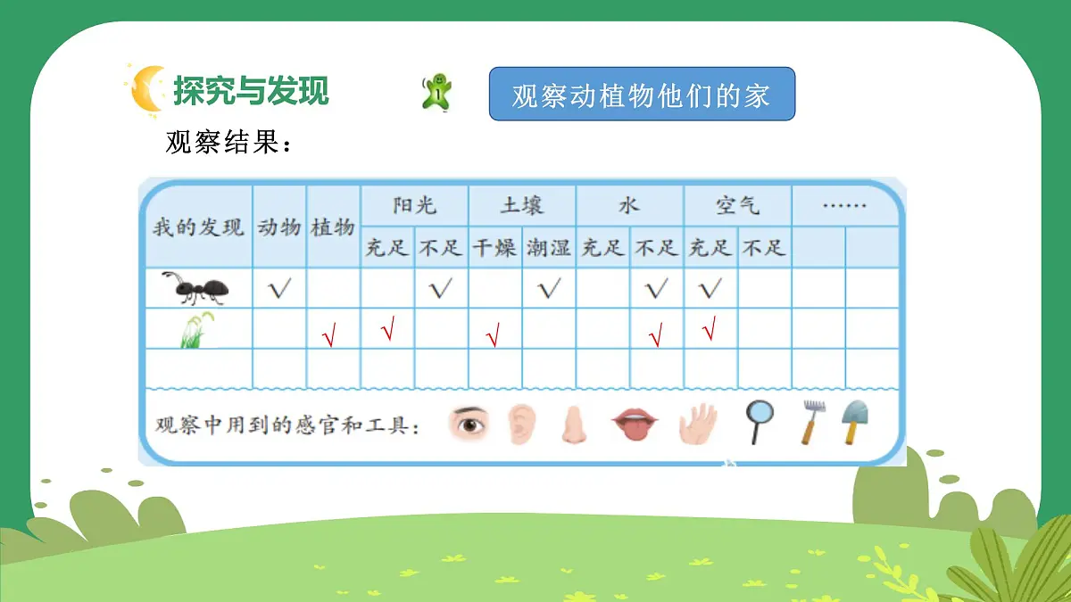 冀人版小学科学一年级下册 《7.动植物的家》 课件第5页