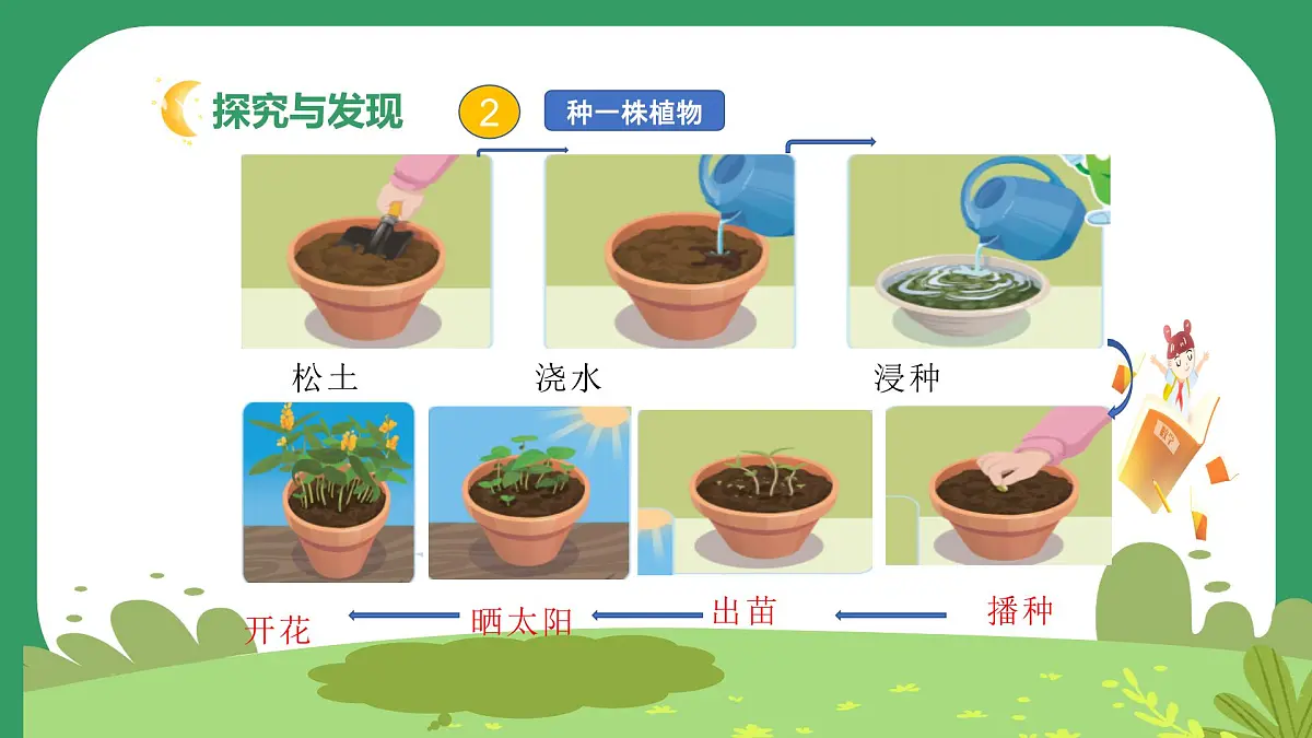 冀人版小学科学一年级下册 《7.动植物的家》 课件第6页
