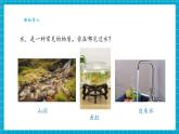 【大單元整體教學】蘇教版科學一年級下冊2.4《水是什么樣的》課件