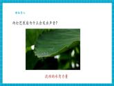 【大單元整體教學】蘇教版科學一年級下冊2.5《玩轉(zhuǎn)小水輪》課件+素材