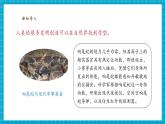 【核心素養(yǎng)優(yōu)質(zhì)課】蘇教版科學(xué)五年級下冊2.6《蛋殼與拱形建筑》教學(xué)課件+同步教案+大單元教學(xué)設(shè)計+素材