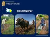蘇教版科學六年級上冊 16《用人造肥料與現(xiàn)代農(nóng)業(yè)》課件+教案