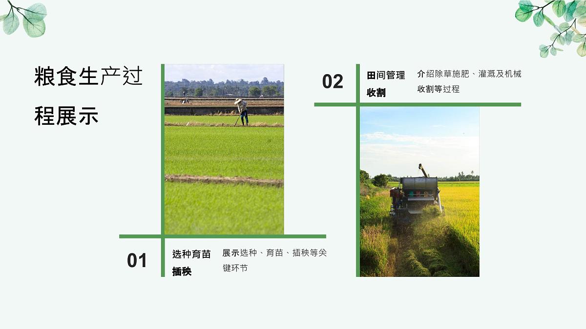 一年级下册科学冀人版《人人节约》课件第7页