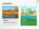 冀人版小學(xué)科學(xué)一年級(jí)下冊(cè) 《11和諧共生》  課件=教案