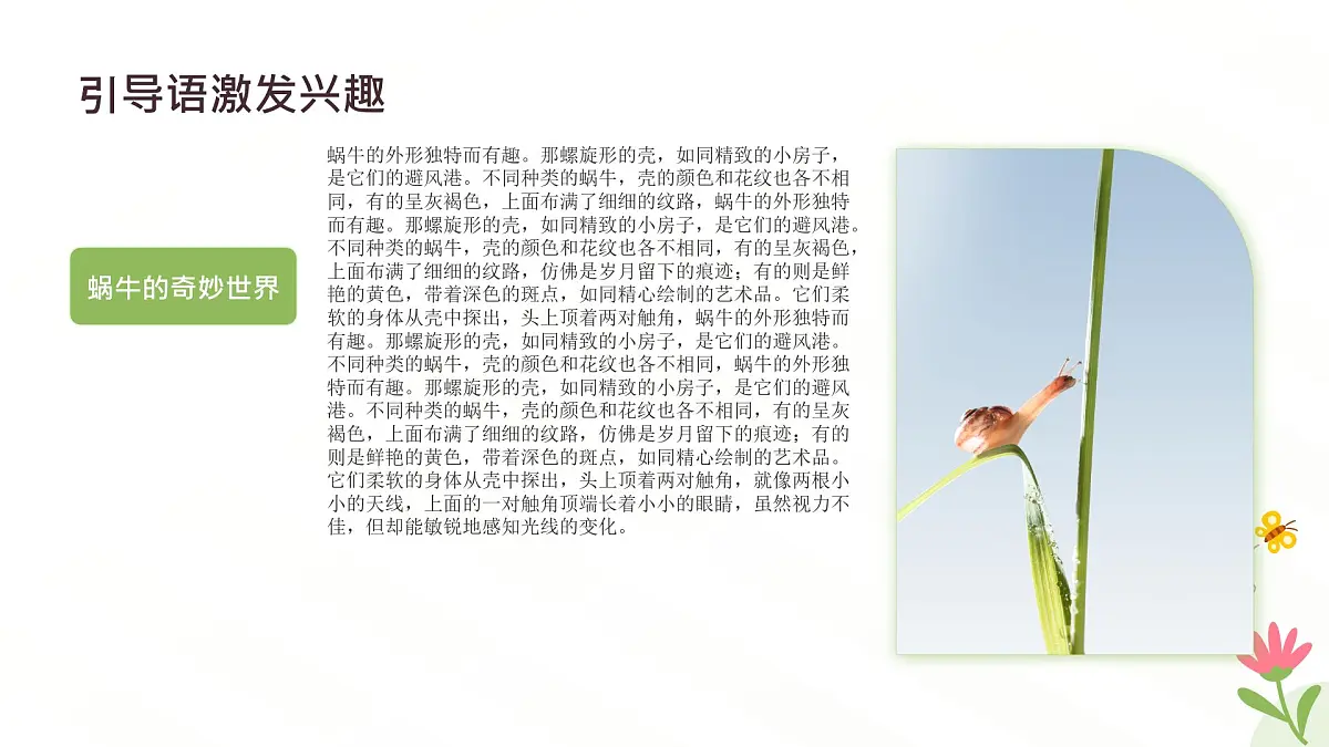 冀人版一年级科学下册《给蜗牛建个小小的家》课件第6页