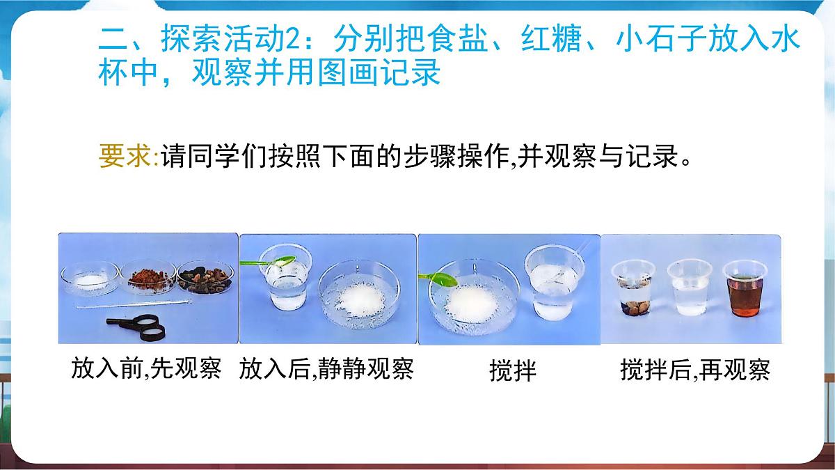 教科版（2024）科学一年级下册 1.7 它们去哪里了（课件）第6页