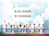 教科版（2024）科學(xué)一年級下冊 2.1 我們周圍的動(dòng)物（課件）