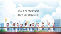 小学科学教科版（2024）一年级下册（2024）1.我们周围的动物说课课件ppt
