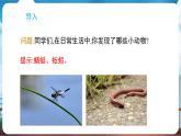 教科版（2024）科學(xué)一年級下冊 2.1 我們周圍的動(dòng)物（課件）