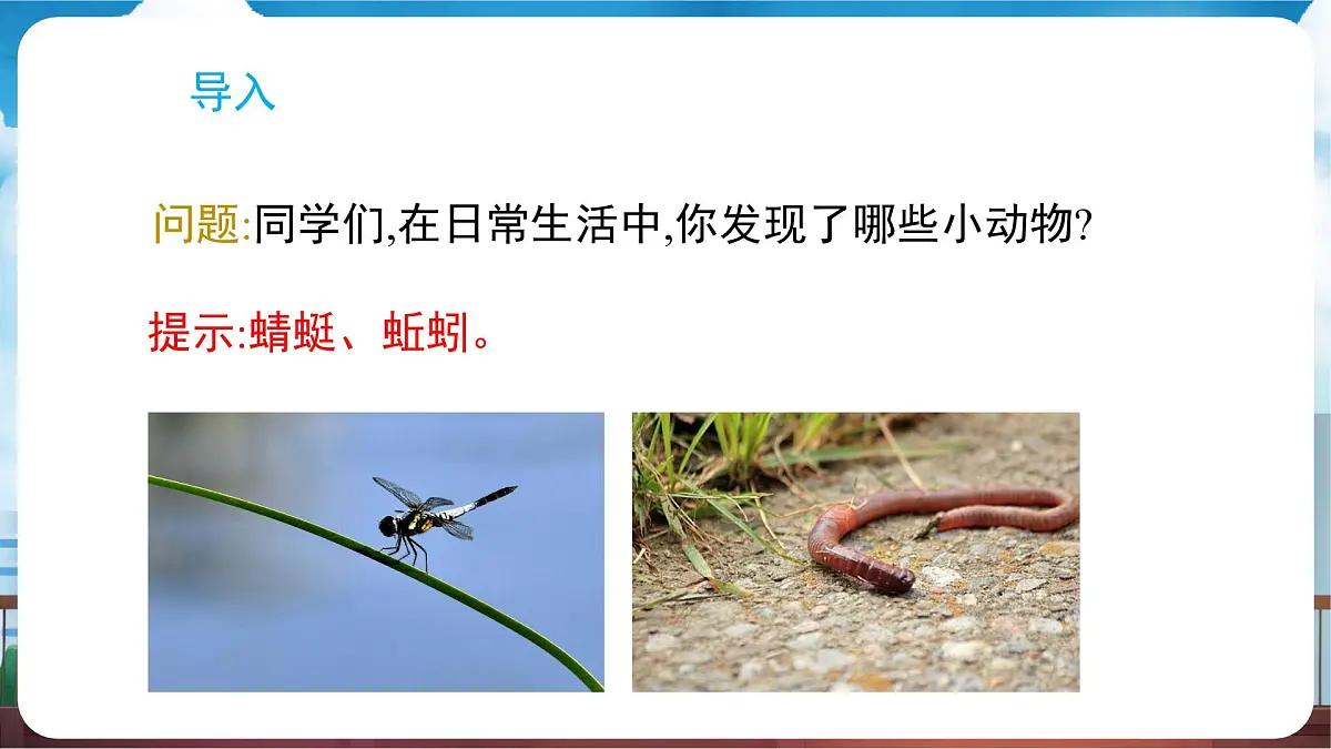 教科版（2024）科学一年级下册 2.1 我们周围的动物（课件）第2页