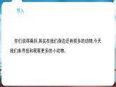 教科版（2024）科學(xué)一年級下冊 2.1 我們周圍的動(dòng)物（課件）