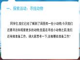 教科版（2024）科學(xué)一年級下冊 2.1 我們周圍的動(dòng)物（課件）