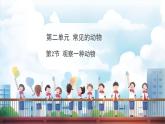 教科版（2024）科學(xué)一年級(jí)下冊(cè) 2.2 觀察一種動(dòng)物（課件）