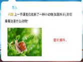 教科版（2024）科學(xué)一年級(jí)下冊(cè) 2.2 觀察一種動(dòng)物（課件）