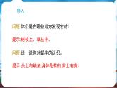 教科版（2024）科學(xué)一年級(jí)下冊(cè) 2.2 觀察一種動(dòng)物（課件）