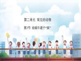 教科版（2024）科學(xué)一年級下冊 2.3 給蝸牛建個(gè)“家”（課件）