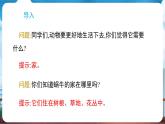 教科版（2024）科學(xué)一年級下冊 2.3 給蝸牛建個(gè)“家”（課件）