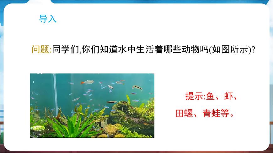 教科版（2024）科学一年级下册 2.4 水中的动物（课件）第2页