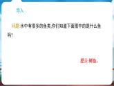 教科版（2024）科學(xué)一年級下冊 2.4 水中的動(dòng)物（課件）
