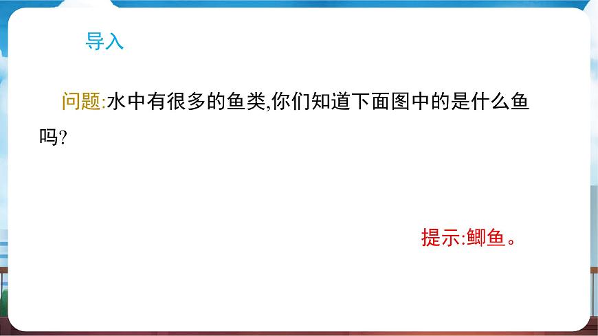 教科版（2024）科学一年级下册 2.4 水中的动物（课件）第3页