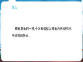 教科版（2024）科學(xué)一年級下冊 2.4 水中的動(dòng)物（課件）