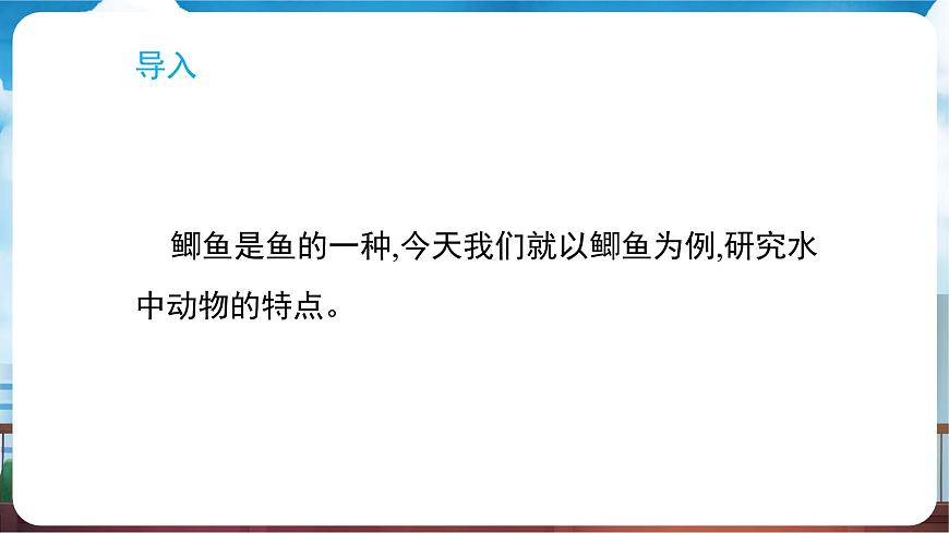 教科版（2024）科学一年级下册 2.4 水中的动物（课件）第4页