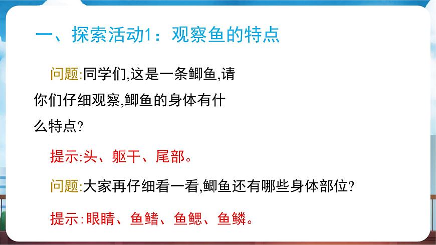 教科版（2024）科学一年级下册 2.4 水中的动物（课件）第5页