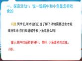 教科版（2024）科學(xué)一年級(jí)下冊(cè) 2.5 它們吃什么（課件）