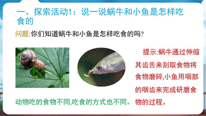 教科版（2024）科学一年级下册 2.5 它们吃什么（课件）第5页