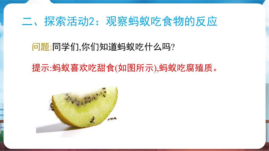 教科版（2024）科学一年级下册 2.5 它们吃什么（课件）第6页