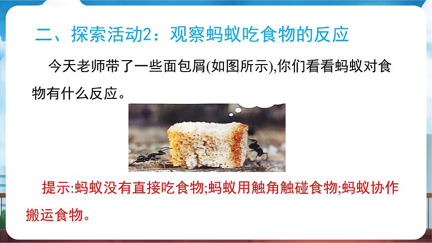 教科版（2024）科学一年级下册 2.5 它们吃什么（课件）第7页