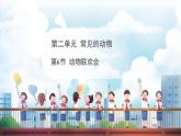 教科版（2024）科學(xué)一年級下冊 2.6 動物聯(lián)歡會（課件）