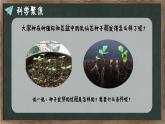 教科版（2024）小學(xué)科學(xué)四年級下冊第一單元1.3種子長出了根課件
