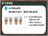 教科版（2024）小學(xué)科學(xué)四年級下冊第一單元1.3種子長出了根課件